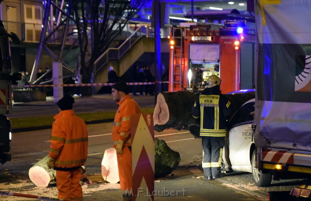 Baum auf PKWs Koeln Mitte Rheinuferstr Goldgasse P063.JPG - Miklos Laubert